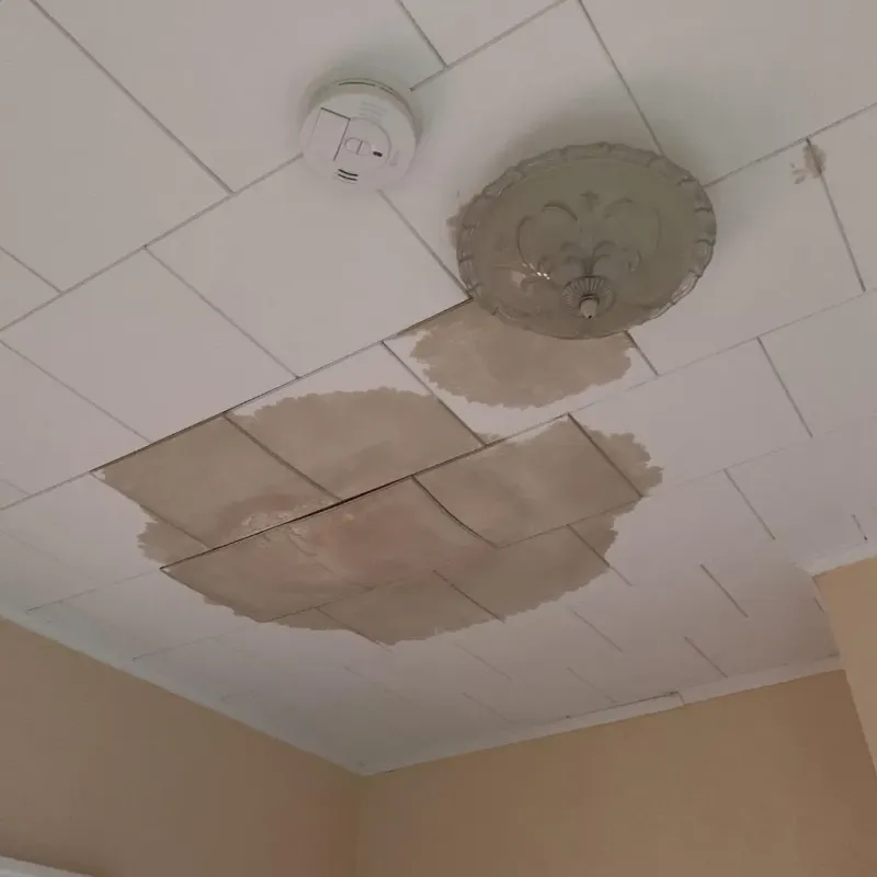 Ceiling Water Damage Repair in Logan County, KY