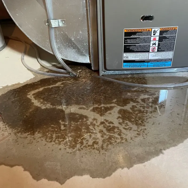 Pipe Burst and Leak Restoration in Logan County, KY