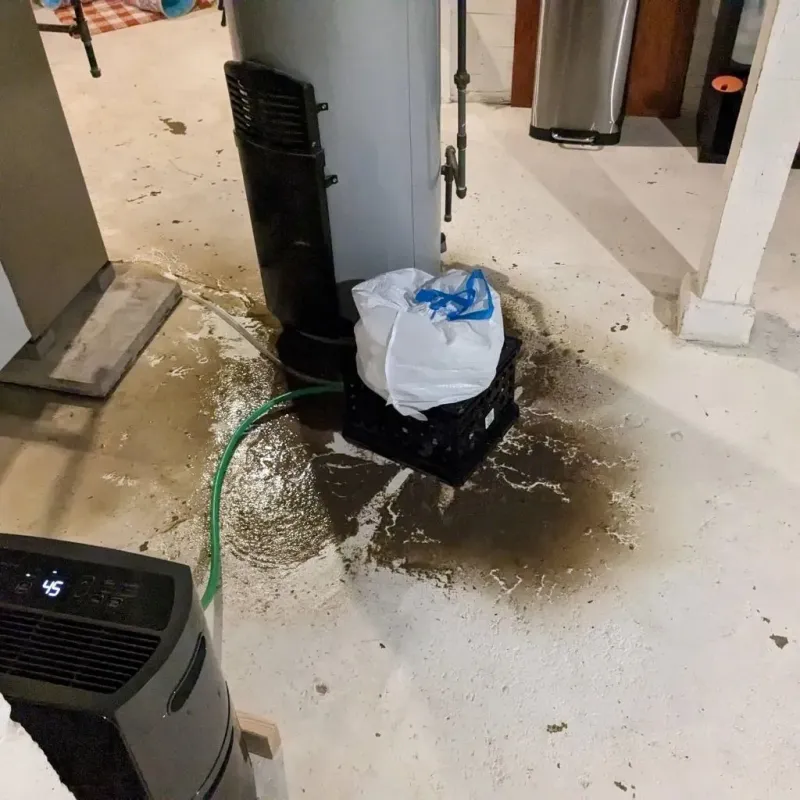 Sewage Backup Cleanup Service in Logan County, KY
